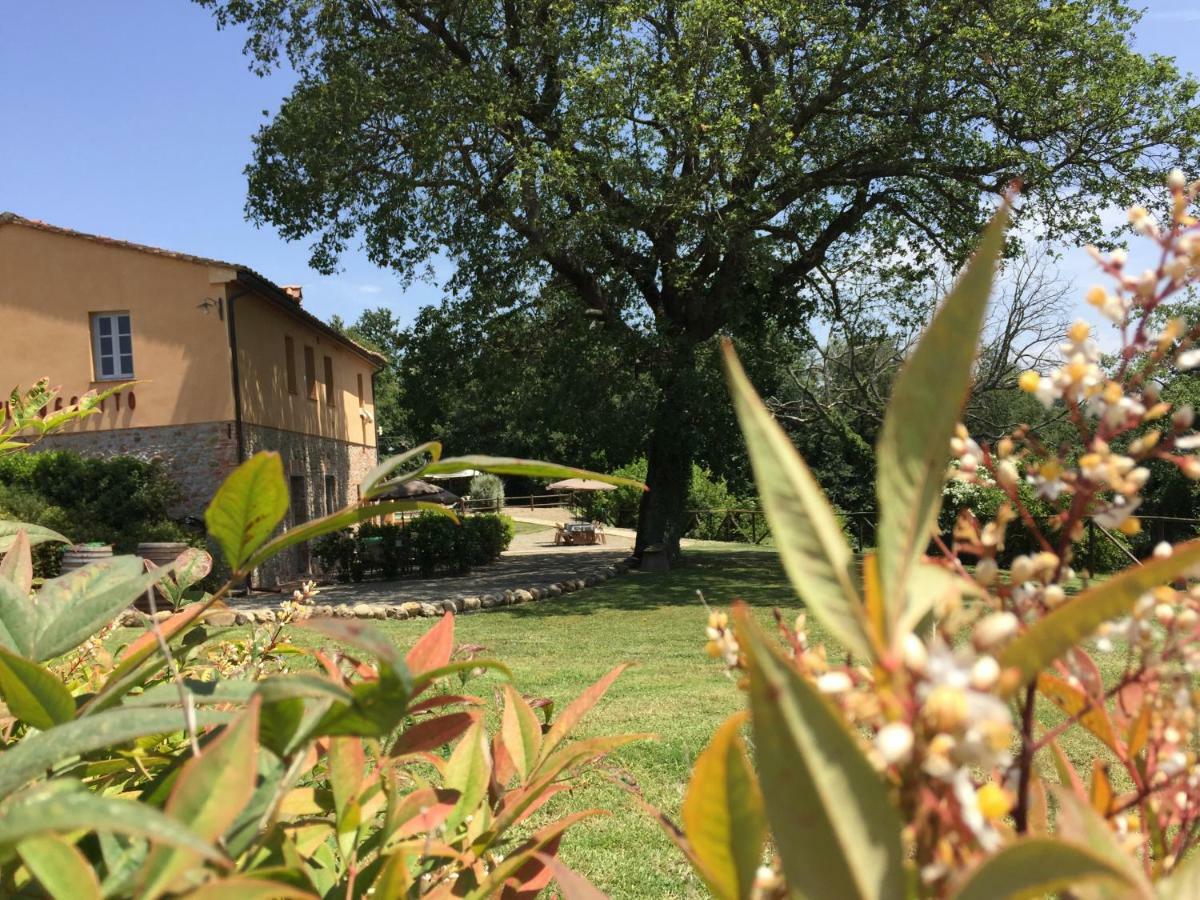 Agriturismo Pieve De Pitti Terricciola Exterior foto